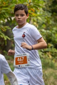 2024.09.22-Palinzarde_3869